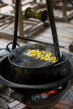 Silkworm cocoons (Bombyx mori) in steaming saucepan, Phnom Penh, Cambodia