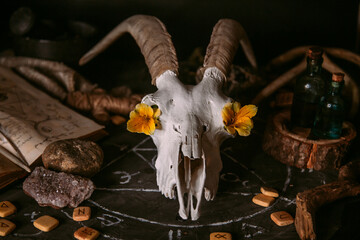 White goat scull with horns, flowers, open old book, candles on witch table.