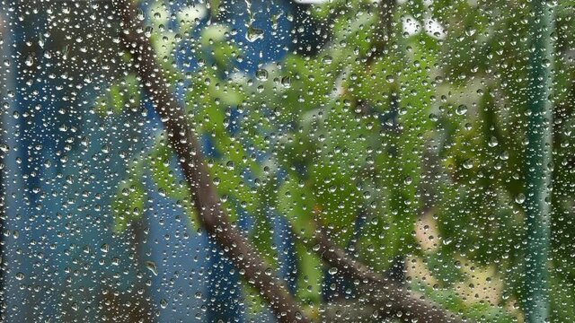 Water drops on the window. Clear drops shot from behind transparent glass with blurred background of tree foliage outdoor. Dot pattern of circle raindrops look like beads
