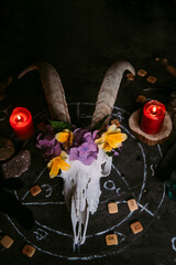 White goat scull with horns, flowers, open old book, candles on witch table.