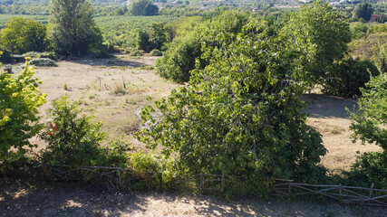Le campagne di Sant'Agata dei Goti