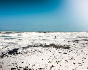 bassa marea Zanzibar