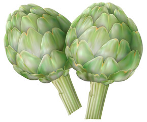 Artichoke vegetables on a white background