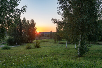 countryside scenery with green meadow and birch trees at sunrise