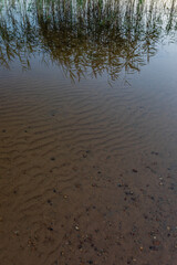 reflection of green grass in transparent water