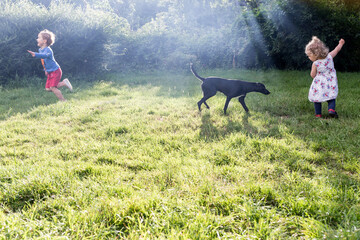 chien noir joue avec une petite fille et son frère