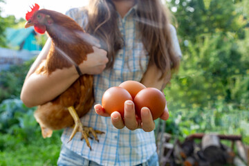 A girl with a chicken and eggs in her hands on a sunny day. Subsistence farming and organic food concept