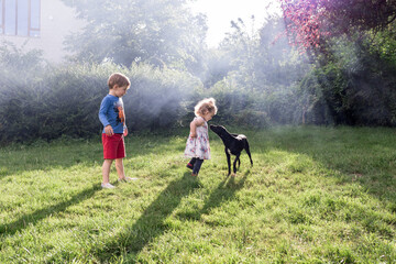 chien noir joue avec une petite fille et son frère