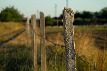 Fototapeta premium Barbed wire fence on a farm