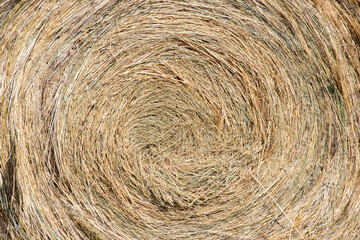 bale of hay