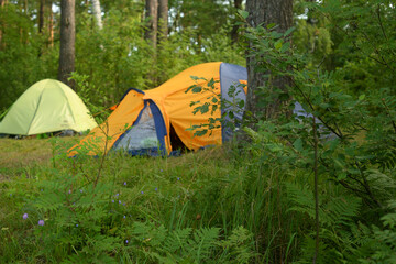 Camping tents in forest.