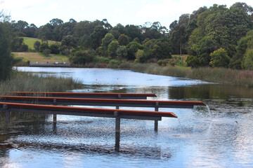Pond with trees in Sydney Park. Also an artwork comprising a series of elevated terracotta channels...