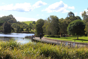 Pond, Wetlands at Sydney Park. Water is reused to top up the wetlands and irrigate the 44 hectare park and supply the neighbouring Council depot.