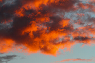Cumulus clouds reddened by the sunset light.