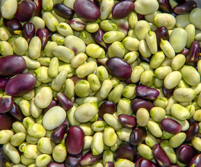 Fresh uncooked green and violet beans