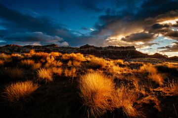 View of desert landscape during sunrise