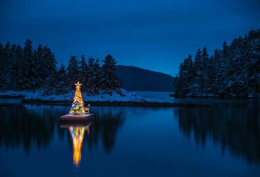 View of illuminated Christmas tree on boat dock at night