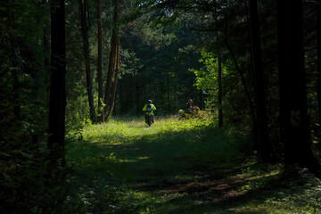 Sportsmen on motorcycles on a forest track, rear view.