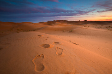 View of footprints on desert landscape