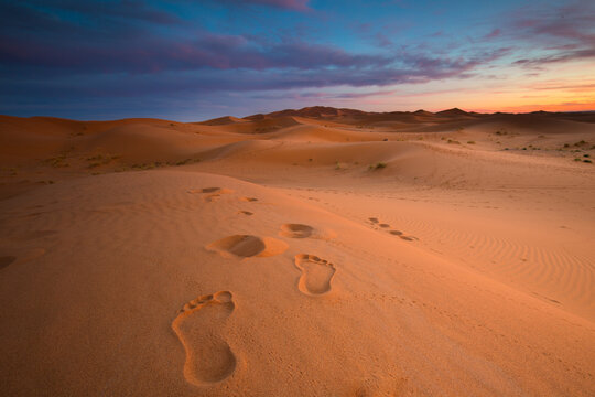 View of footprints on desert landscape