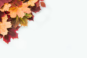Autumn composition-vintage banner with autumn leaves on a white background. Autumn foliage. Leaves in the corner of the photo and a place with space to copy. Background of the autumn season.