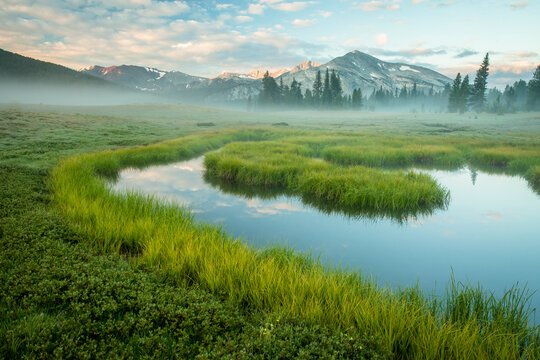 Scenic view of Dana Meadows in Yosemite National Park during sunrise