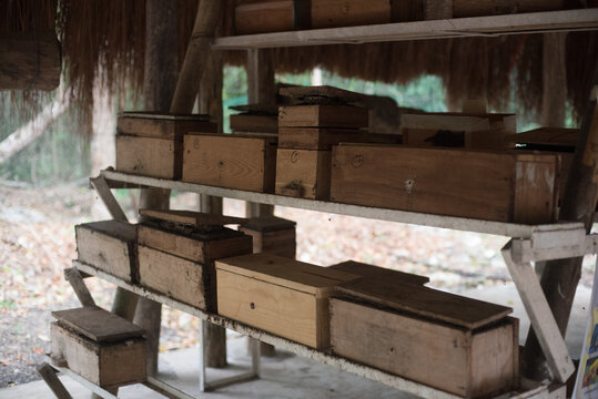 Educational research facility for melipona stingless bees in Chetumal, Mexico
