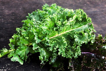 Kale cabbage close-up.