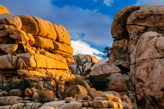 Scenic view of rock formations in Joshua Tree National Park