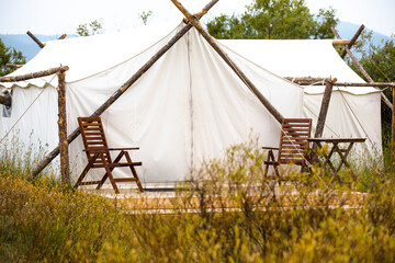 View of tent in forest