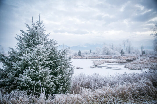 View of Jerry Sulina Park against cloudy sky during winter