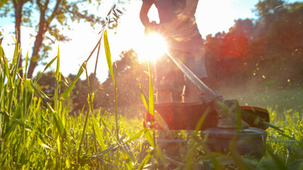 MACRO, DOF: Young man uses a handheld grass trimmer to trim his backyard. - obrazy, fototapety, plakaty