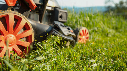 MACRO: Motorized lawnmower gets pushed along an untidy backyard by gardener