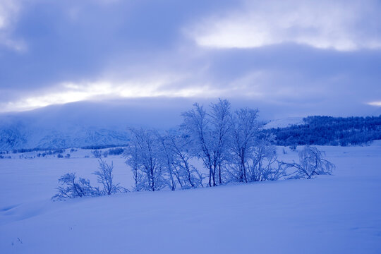 View of Dividal and Rohkunborri National Parks, Norway