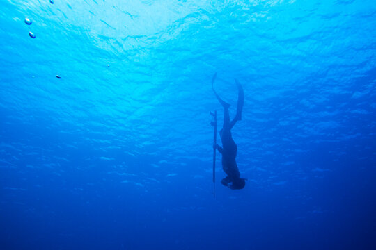 Man spearfishing in sea