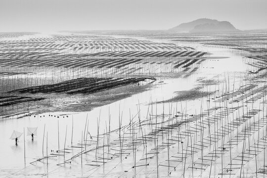 Fisherman fishing in mudflats