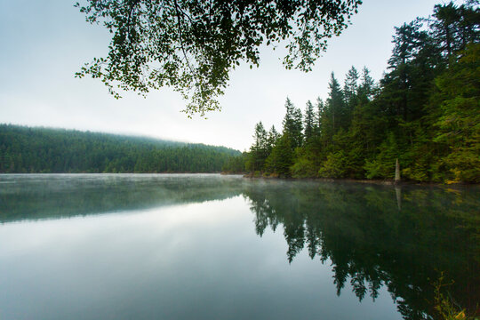 Scenic view of pine trees reflecting in lake