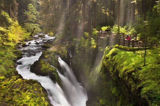 Photographer standing above Sol Duc Falls in Olympic National Park - Powered by Adobe