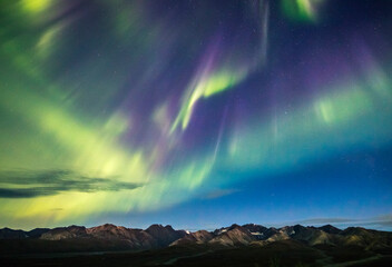 Scenic view of Aurora Borealis over Denali National Park