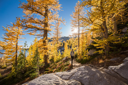 Man Walking On Trail In Alpine Lakes Wilderness Area