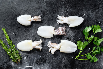 Fresh raw cuttlefish with rosemary and parsley. Black background. Top view