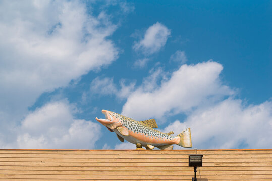 Fish sculpture on top of grocery store against cloudy sky
