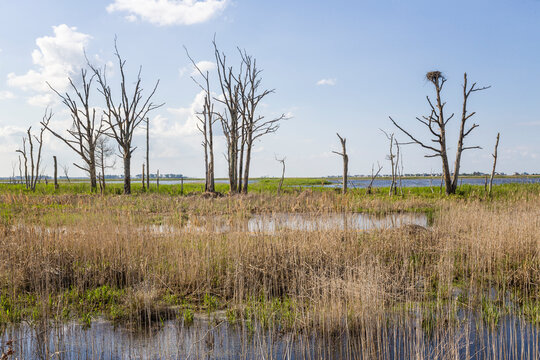 View of Prime Hook National Wildlife Refuge
