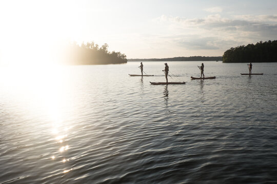 Silhouette Of Men Paddleboarding In Lake Martin