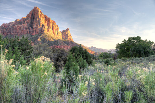 The Watchman mountain in Zion National Park