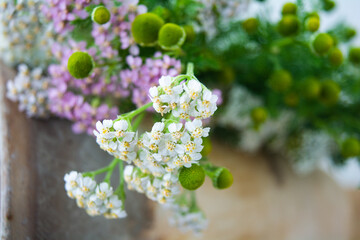 Meadow medical herbs - Chamomile and Achillea. Alternative medicine herbal grass