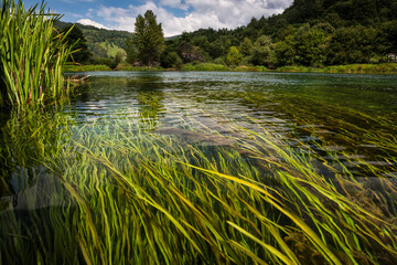 View of grass swaying in Una River
