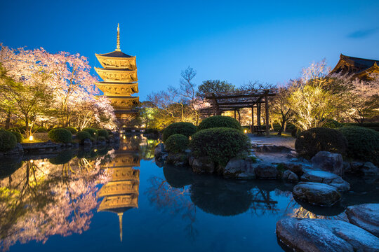 View of Toji temple at night