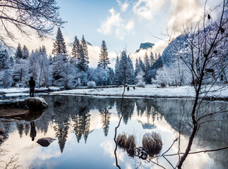 Rear view of man looking at snow covered landscape in winter