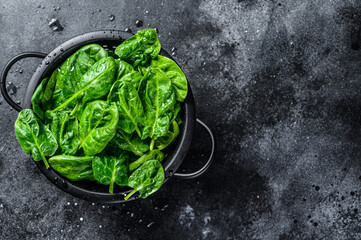 Young raw spinach in a colander. Black background. Top view. Copy space